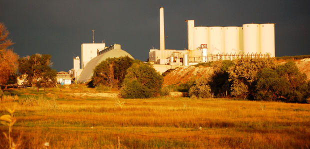 The Amalgamated Sugar Co